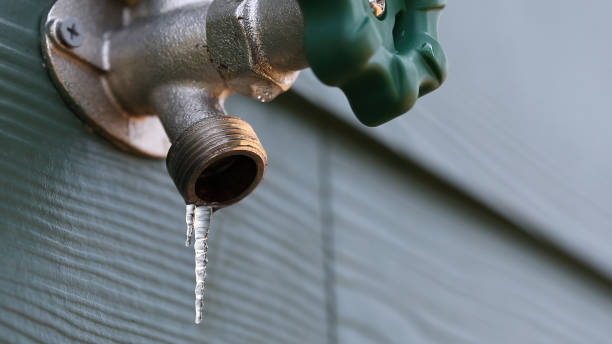 Best Septic Systems  in Tahoe Vista, CA